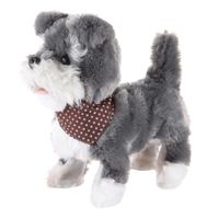 Pasea a Tu Cachorro Schnauze
