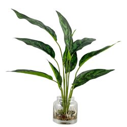 Planta Decorativa con Pote 32x32x40 Cm - Concepts