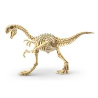 Robo Alive Dino Fósil Diseños Surtidos
