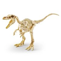 Robo Alive Dino Fósil Diseños Surtidos