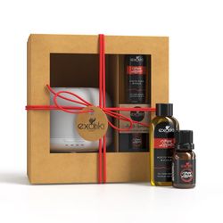 Kit de Difusor y Aceites Aromáticos Pure Love