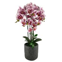 Orquídea Artificial en Maceta Blanca y Morada 72 Cm