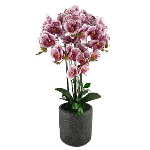 Orquídea Artificial en Maceta Blanca y Morada 72 Cm
