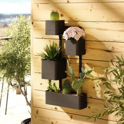 Repisa de Pared para Plantas Cubiko Negra
