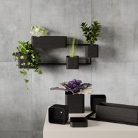 Repisa de Pared para Plantas Cubiko Negra