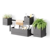 Repisa de Pared para Plantas Cubiko Negra
