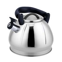 Tetera de Acero Inoxidable Satinada 3L