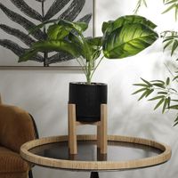 Planta Artificial Ave del Paraíso con Base de Madera 55 Cm