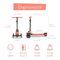 Scooter de 3 Ruedas Flamingo