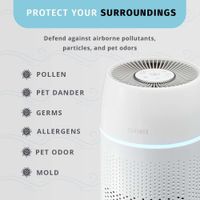 Filtro de Repuesto True HEPA para Purificador de Aire AP-PET35