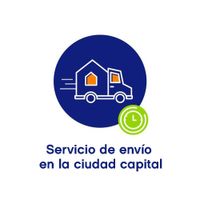 Servicio de Envió en la Ciudad  Capital