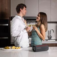 Bocina Portátil Bluetooth Gris 24 W