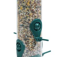 Alimentador para Aves de 4 Puertos 2 en 1