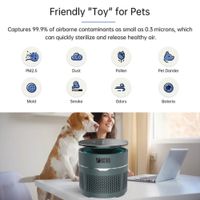 Mini Purificador de Ambiente para Escritorio Gris