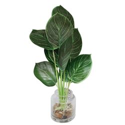 Planta con Pote de Vidrio de 32x32x40 Cm