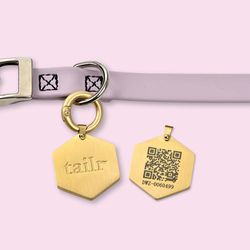 Collar para Perro Grande con Código Qr