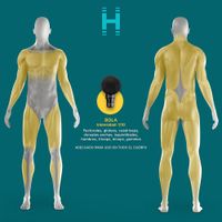 Masajeador de Percusión Inalámbrico y Recargable