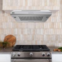 Campana Acero Inoxidable 24 Plg