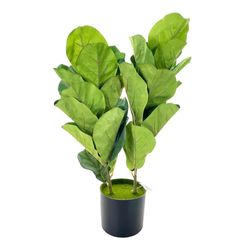 Planta Decorativa con Pote 36x36x73 Cm - Concepts