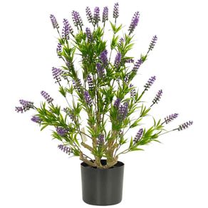 Arbol-de-Lavanda-con-Maceta-