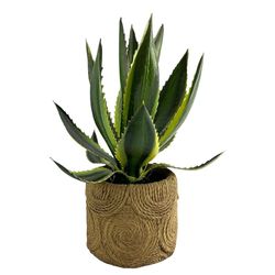 Planta Decorativa con Pote 22x22x32 Cm - Concepts