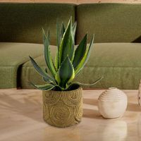 Planta Decorativa con Pote 22x22x32 Cm - Concepts