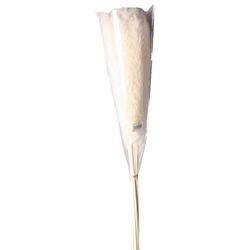 Ramo Decorativo 64 Cm - Concepts