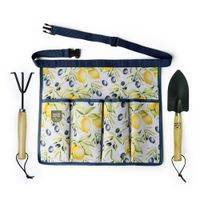 Kit-Jardineria-Tipo-Gabachita-Azul-