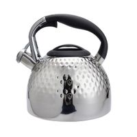 Tetera de Acero Inoxidable con Diseño Texturizado 3 L