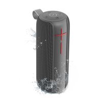 Bocina Portátil 20W RMS