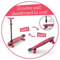 Skateboard Coral