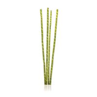 Bamboo Decorativo Colores 4 Ca‘As 1.25