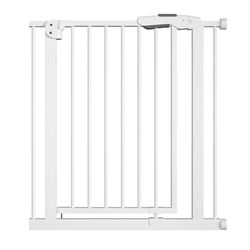 Puerta de Seguridad Acero