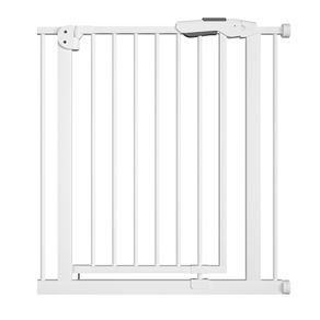 Puerta de Seguridad Acero