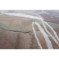 Alfombra de Área Argentum Multicolor 200x290 Cm