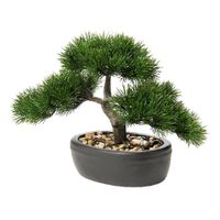 Planta Decorativa Bonsai con Pote 18x11.5x23 Cm - Concepts