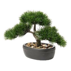 Planta Decorativa Bonsai con Pote 18x11.5x23 Cm - Concepts