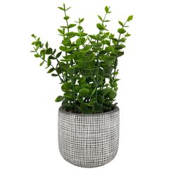 Planta Decorativa 9.5x9.5x23 Cm - Concepts