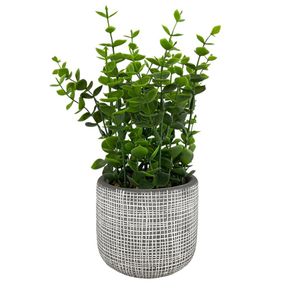 Planta Decorativa 9.5x9.5x23 Cm - Concepts