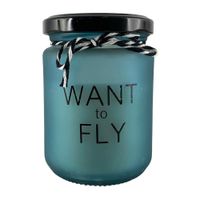Vela Want To Fly Aromas Surtidos 6.7x6.7x9.3 Cm - Concepts
