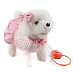 Pasea a Tu Cachorro Bichón Frisé