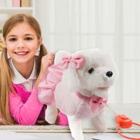 Pasea a Tu Cachorro Bichón Frisé