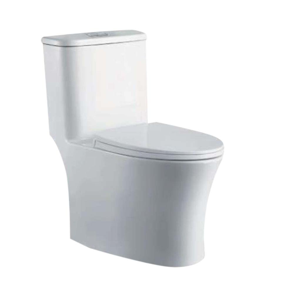 Sanitario Aral de Una Pieza con Descarga Dual y Asiento Elongado Blanco Brillante
