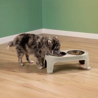 Plato Alto para Perro Pequeño - Taupe