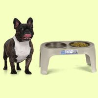 Plato Alto para Perro Pequeño - Taupe
