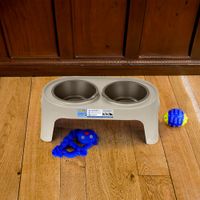 Plato Alto para Perro Pequeño - Taupe