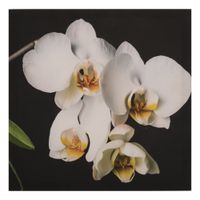 Cuadro Decorativo Flores