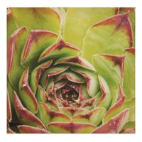 Cuadro Decorativo Flores