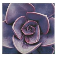 Cuadro Decorativo Flores