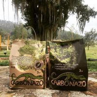 Carbón Ecológico Vegetal de Encendido Rápido 3 Lbs